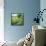 Spring Landscape-Molly Reeves-Framed Stretched Canvas displayed on a wall