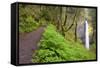 Spring Latourell Falls, Columbia River Gorge National Scenic Area, Oregon-Craig Tuttle-Framed Stretched Canvas