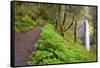 Spring Latourell Falls, Columbia River Gorge National Scenic Area, Oregon-Craig Tuttle-Framed Stretched Canvas