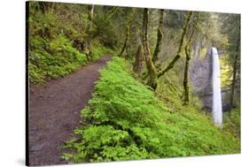 Spring Latourell Falls, Columbia River Gorge National Scenic Area, Oregon-Craig Tuttle-Stretched Canvas