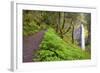 Spring Latourell Falls, Columbia River Gorge National Scenic Area, Oregon-Craig Tuttle-Framed Photographic Print