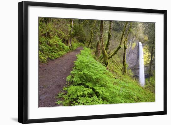 Spring Latourell Falls, Columbia River Gorge National Scenic Area, Oregon-Craig Tuttle-Framed Photographic Print