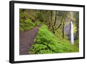 Spring Latourell Falls, Columbia River Gorge National Scenic Area, Oregon-Craig Tuttle-Framed Photographic Print