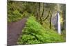 Spring Latourell Falls, Columbia River Gorge National Scenic Area, Oregon-Craig Tuttle-Mounted Photographic Print