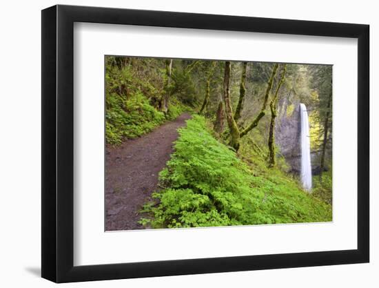 Spring Latourell Falls, Columbia River Gorge National Scenic Area, Oregon-Craig Tuttle-Framed Photographic Print