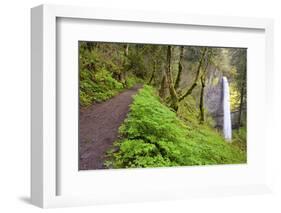 Spring Latourell Falls, Columbia River Gorge National Scenic Area, Oregon-Craig Tuttle-Framed Photographic Print