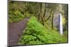 Spring Latourell Falls, Columbia River Gorge National Scenic Area, Oregon-Craig Tuttle-Mounted Photographic Print