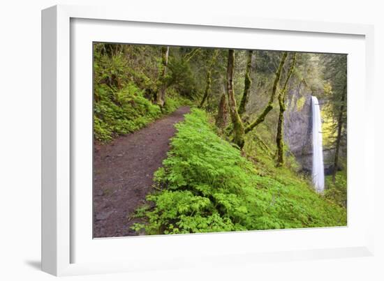 Spring Latourell Falls, Columbia River Gorge National Scenic Area, Oregon-Craig Tuttle-Framed Photographic Print