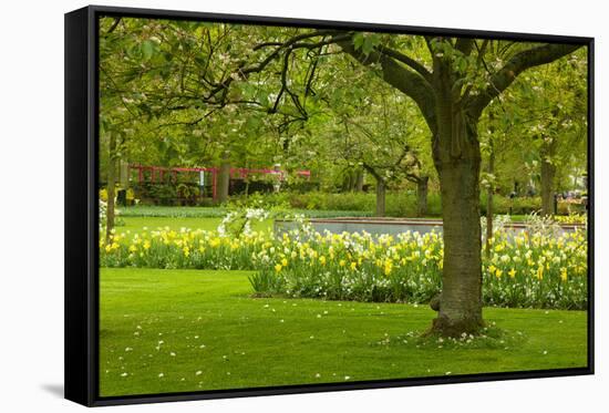 Spring Lawn in Garden-neirfy-Framed Stretched Canvas