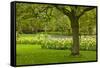 Spring Lawn in Garden-neirfy-Framed Stretched Canvas