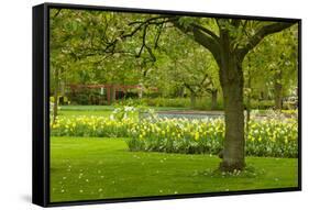 Spring Lawn in Garden-neirfy-Framed Stretched Canvas