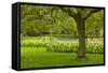 Spring Lawn in Garden-neirfy-Framed Stretched Canvas