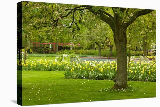 Spring Lawn in Garden-neirfy-Stretched Canvas
