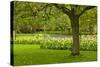 Spring Lawn in Garden-neirfy-Stretched Canvas