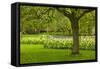 Spring Lawn in Garden-neirfy-Framed Stretched Canvas
