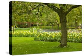 Spring Lawn in Garden-neirfy-Stretched Canvas