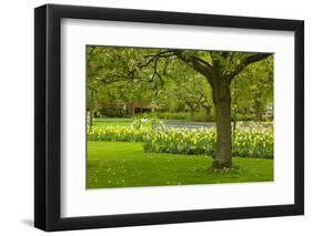 Spring Lawn in Garden-neirfy-Framed Photographic Print