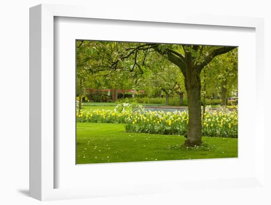 Spring Lawn in Garden-neirfy-Framed Photographic Print