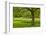 Spring Lawn in Garden-neirfy-Framed Photographic Print