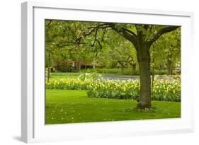 Spring Lawn in Garden-neirfy-Framed Photographic Print