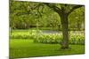 Spring Lawn in Garden-neirfy-Mounted Photographic Print