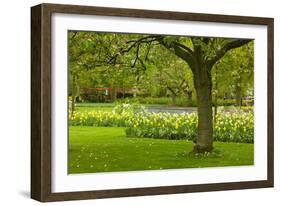 Spring Lawn in Garden-neirfy-Framed Photographic Print