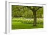 Spring Lawn in Garden-neirfy-Framed Photographic Print