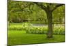Spring Lawn in Garden-neirfy-Mounted Photographic Print