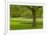 Spring Lawn in Garden-neirfy-Framed Photographic Print