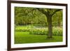 Spring Lawn in Garden-neirfy-Framed Photographic Print