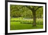 Spring Lawn in Garden-neirfy-Framed Photographic Print