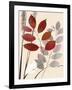 Spring Leaf 1-Bella Dos Santos-Framed Art Print