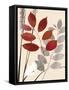 Spring Leaf 1-Bella Dos Santos-Framed Stretched Canvas