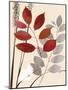 Spring Leaf 1-Bella Dos Santos-Mounted Art Print