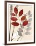 Spring Leaf 1-Bella Dos Santos-Framed Art Print