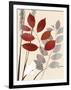 Spring Leaf 1-Bella Dos Santos-Framed Art Print