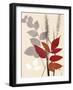 Spring Leaf 2-Bella Dos Santos-Framed Art Print