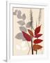 Spring Leaf 2-Bella Dos Santos-Framed Art Print