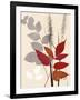 Spring Leaf 2-Bella Dos Santos-Framed Art Print