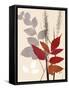 Spring Leaf 2-Bella Dos Santos-Framed Stretched Canvas