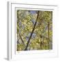 Spring Leaves 2-Ken Bremer-Framed Limited Edition