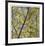 Spring Leaves 2-Ken Bremer-Framed Limited Edition
