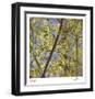 Spring Leaves 2-Ken Bremer-Framed Limited Edition