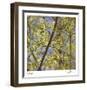 Spring Leaves 2-Ken Bremer-Framed Limited Edition