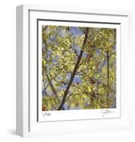 Spring Leaves 2-Ken Bremer-Framed Limited Edition