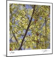 Spring Leaves 2-Ken Bremer-Mounted Limited Edition