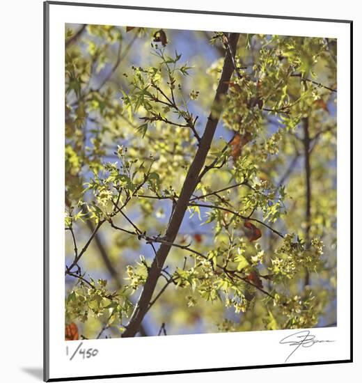 Spring Leaves 2-Ken Bremer-Mounted Limited Edition