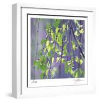 Spring Leaves-Ken Bremer-Framed Limited Edition