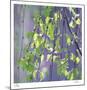 Spring Leaves-Ken Bremer-Mounted Limited Edition
