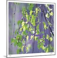 Spring Leaves-Ken Bremer-Mounted Limited Edition